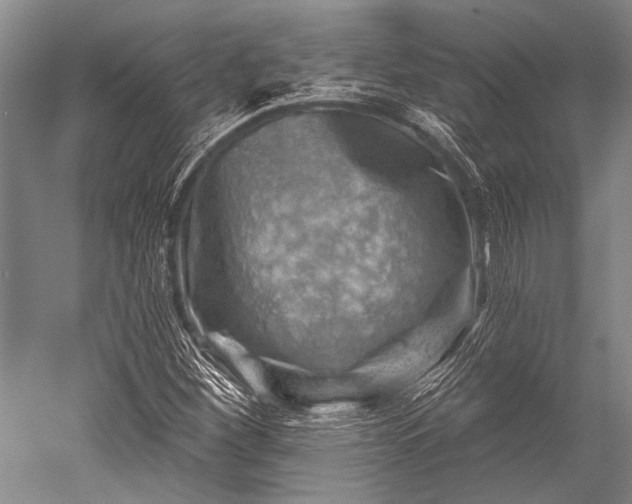 X0000052571260200507081652