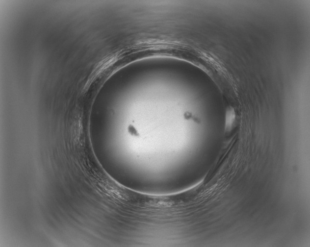 X0000052571261200507081652