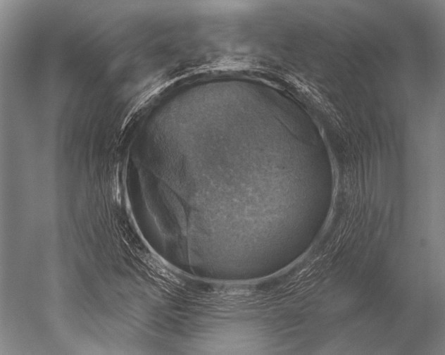 X0000052571262200507081652