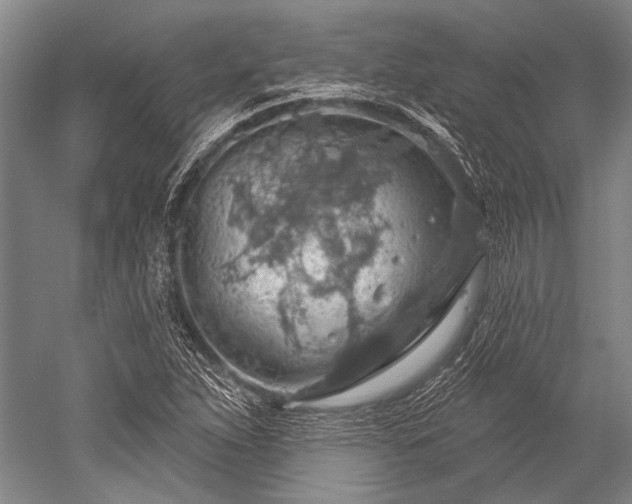 X0000052571263200507081652