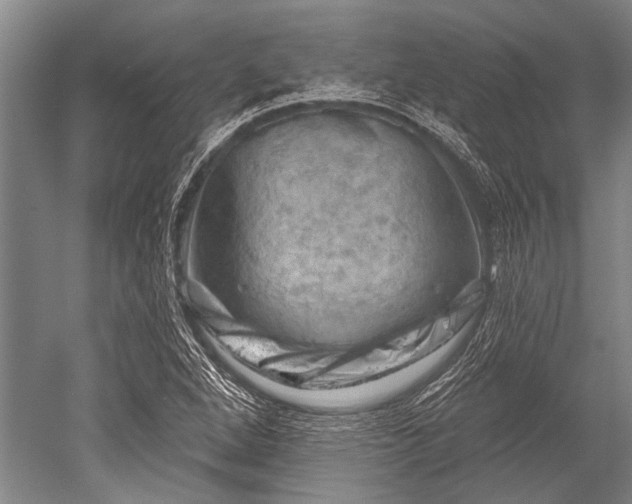 X0000052571264200507081652