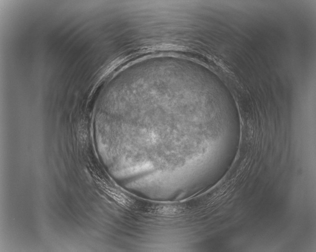 X0000052571266200507081652