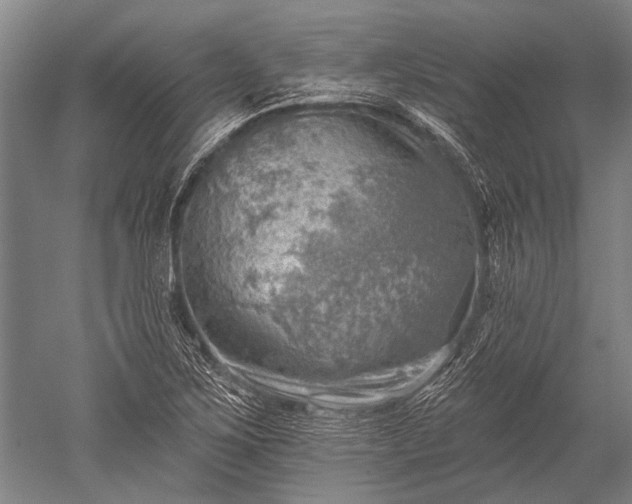 X0000052571267200507081652