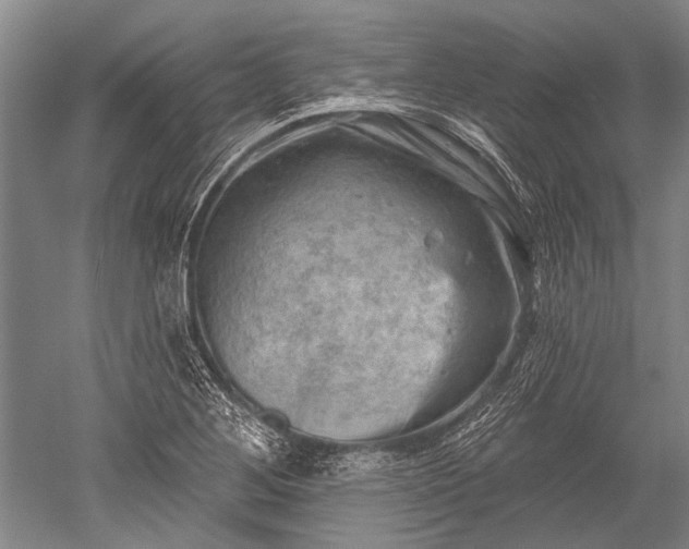 X0000052571268200507081652