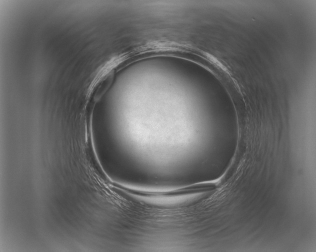 X0000052571269200507081652