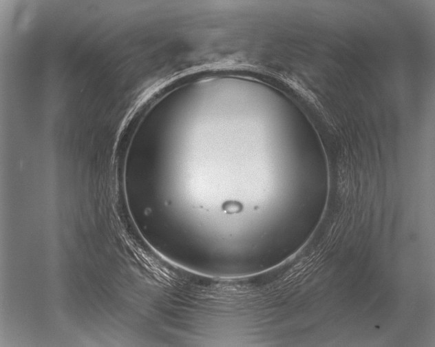 X0000052571270200507081652