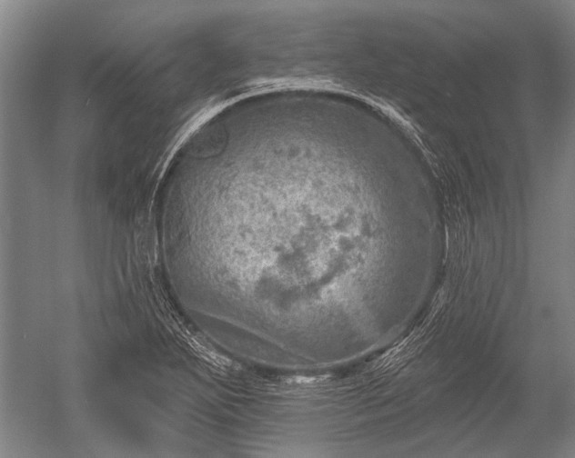 X0000052571271200507081652