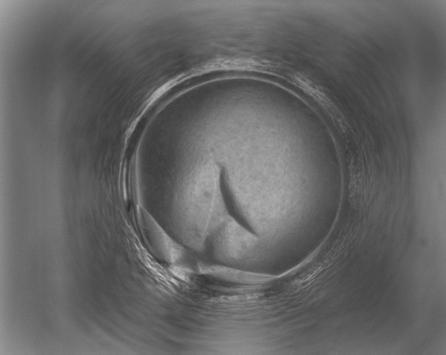 X0000052571272200507081652