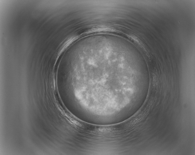 X0000052571274200507081652