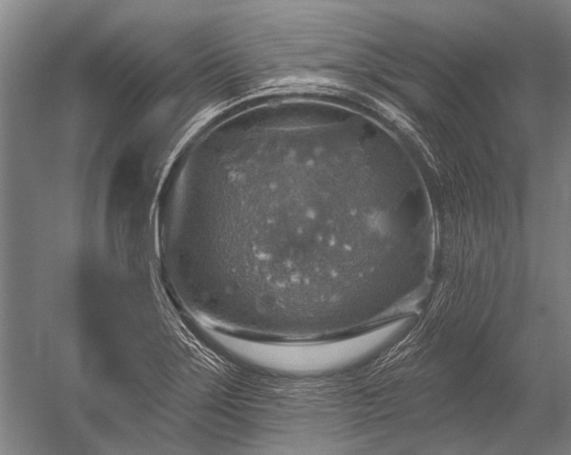 X0000052571275200507081652