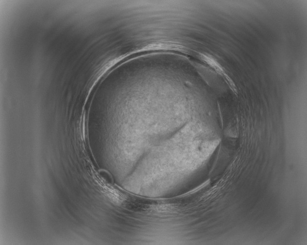 X0000052571276200507081652