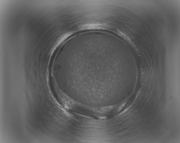 X0000052571277200507081652