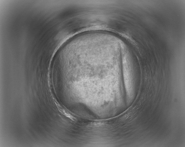 X0000052571278200507081652