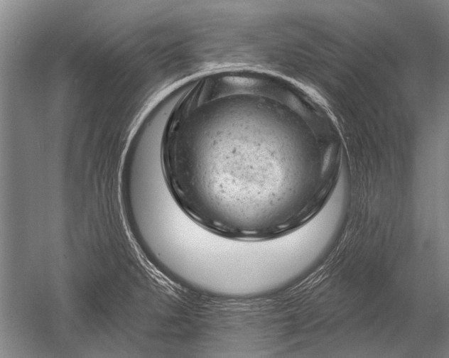 X0000052571279200507081652