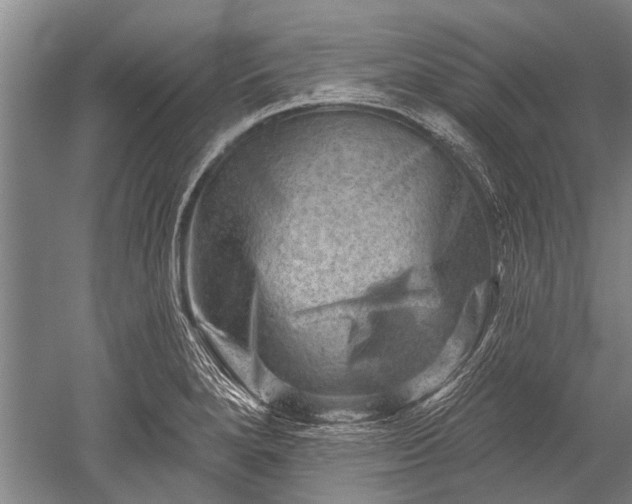 X0000052571280200507081652