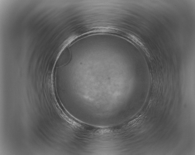 X0000052571283200507081652