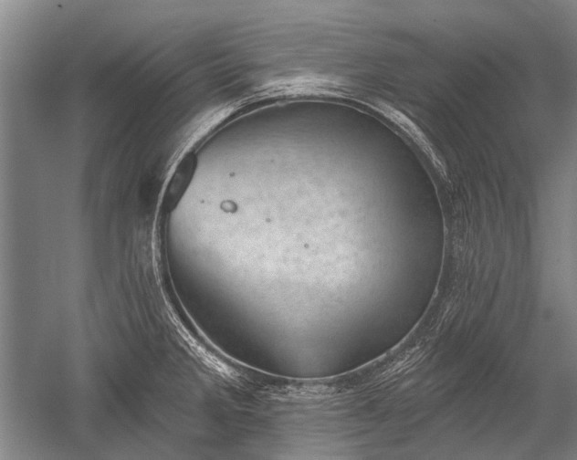 X0000052571285200507081652