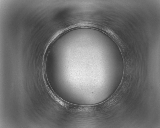 X0000052571286200507081652