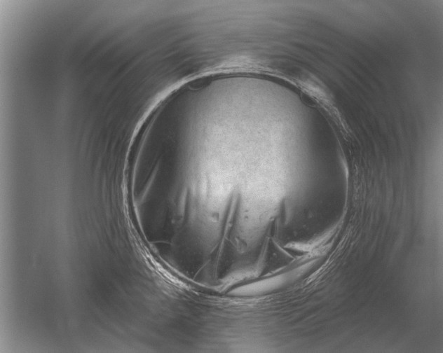 X0000052571288200507081652