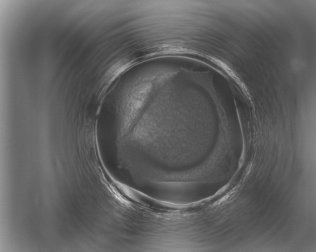 X0000052571289200507081652