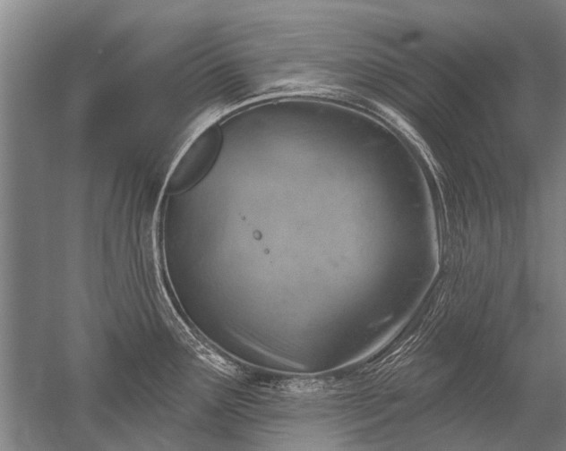 X0000052571291200507081652