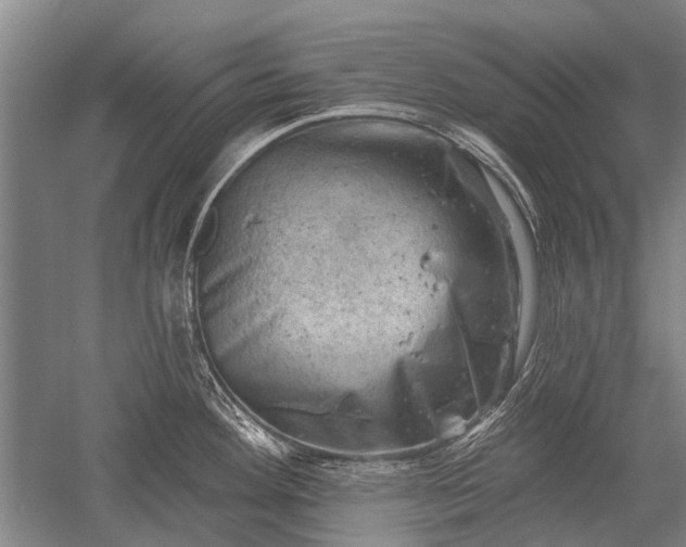 X0000052571292200507081652