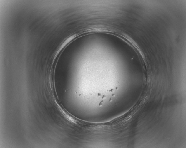 X0000052571293200507081652