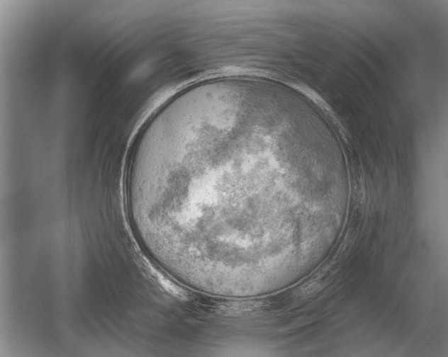 X0000052571294200507081652