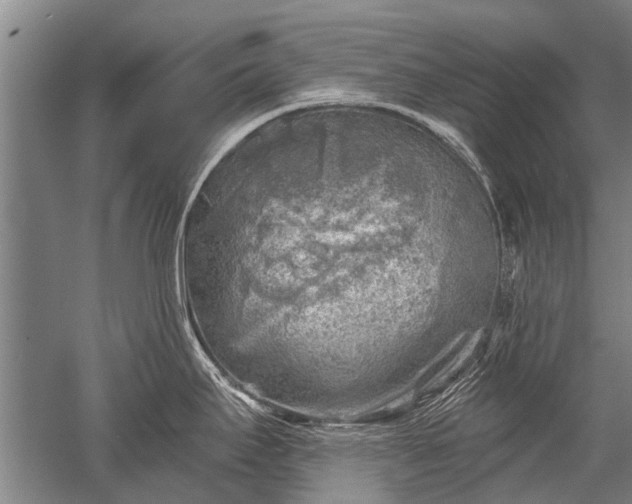 X0000052571295200507081652