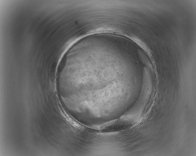 X0000052571296200507081652