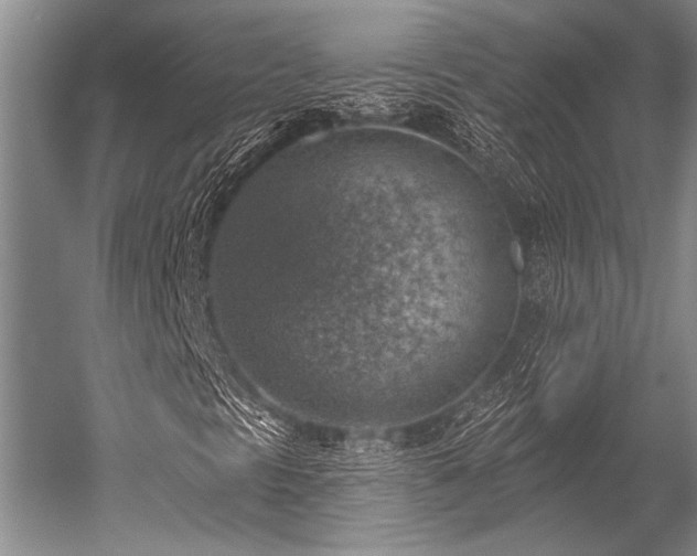 X0000052571297200507081651