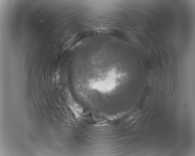 X0000052571298200507081651