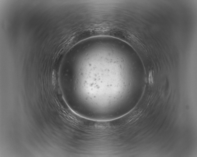 X0000052571299200507081651