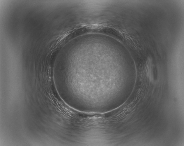 X0000052571301200507081651