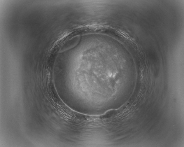 X0000052571302200507081651