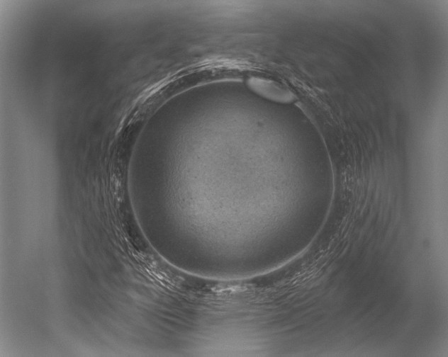 X0000052571303200507081651