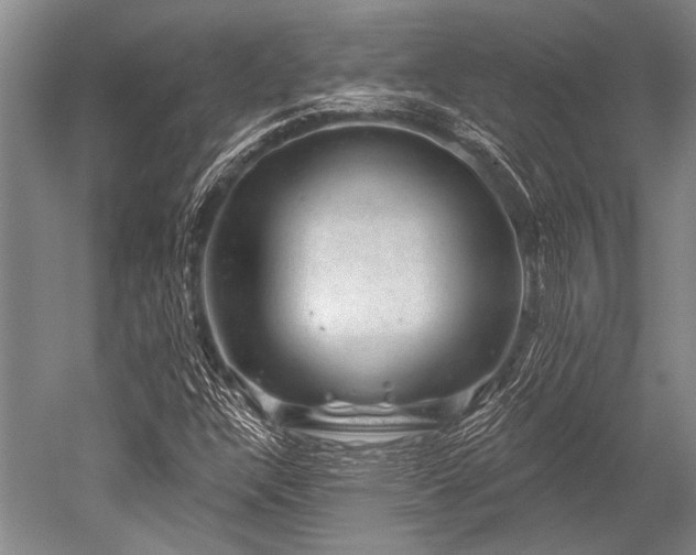 X0000052571304200507081651