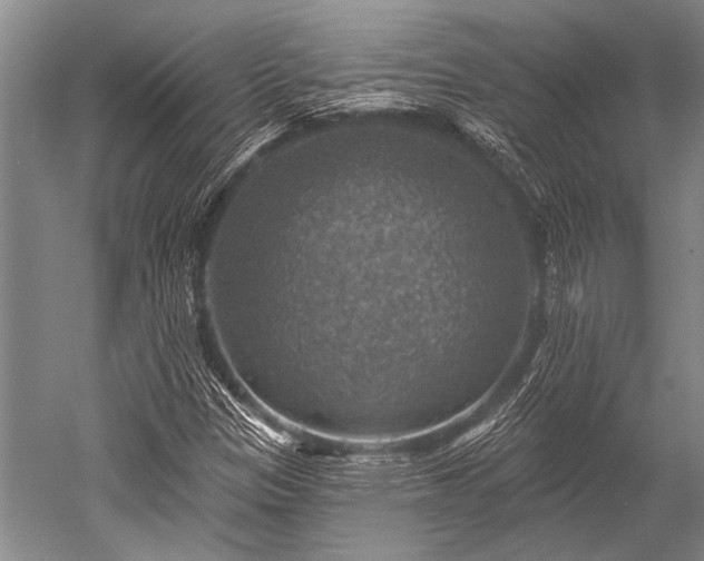 X0000052571305200507081651