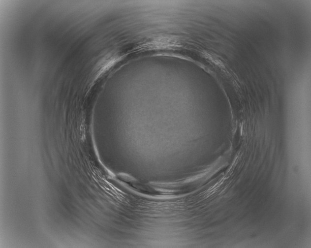 X0000052571306200507081651