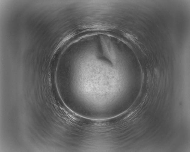 X0000052571307200507081651