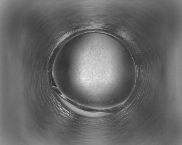 X0000052571308200507081651