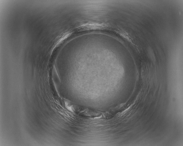 X0000052571309200507081651