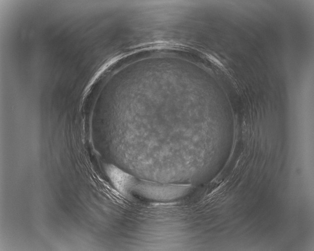 X0000052571310200507081651