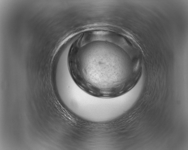 X0000052571312200507081651