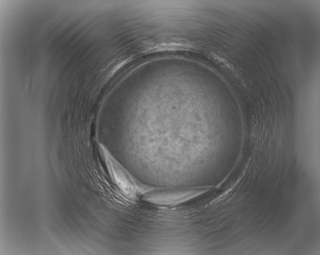 X0000052571313200507081651