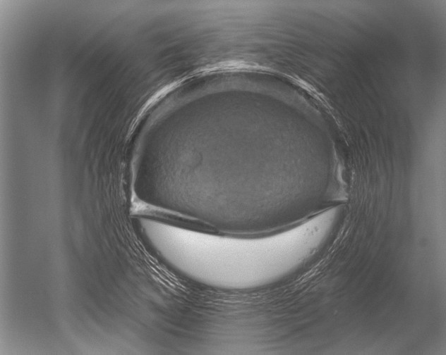 X0000052571314200507081651