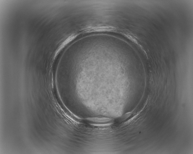 X0000052571317200507081651