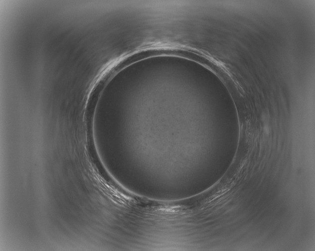 X0000052571319200507081651