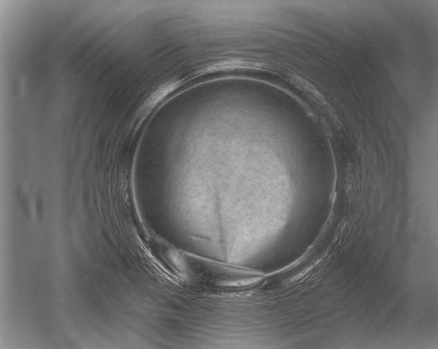 X0000052571321200507081651