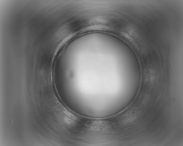 X0000052571322200507081651